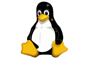 Découverte de Linux
